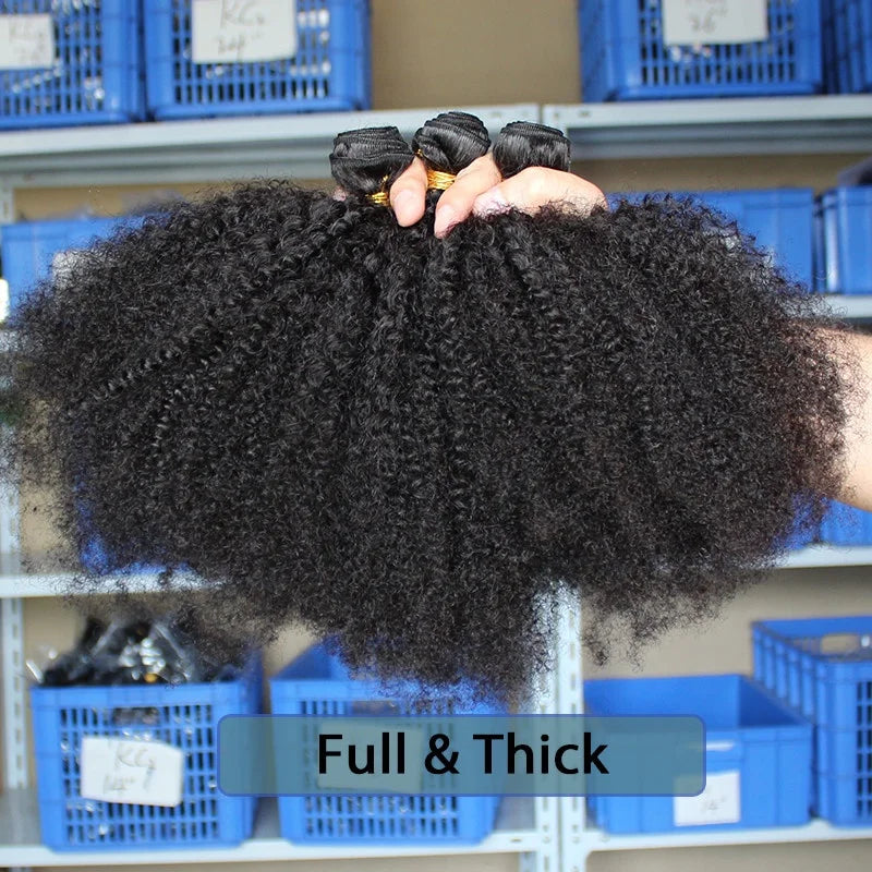 Cheap Human Hair Bundles Brazilian Afro Kinky Curly Natural Color 10-30 Inch Virgin Hair 100% 4B4C Kinky Curly Human Hair Weave