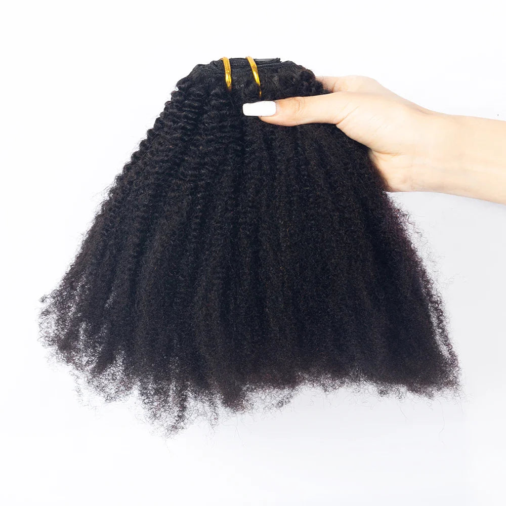 Hot Selling 100% Human Virgin Hair Brazilian Afro Kinky Curly 4b4c Clip in Hair Extensions