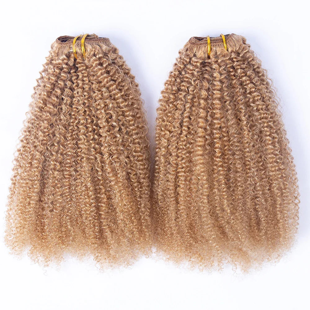 Hot Selling 100% Human Virgin Hair Brazilian Kinky Curly 4b4c Clip in Hair Extensions
