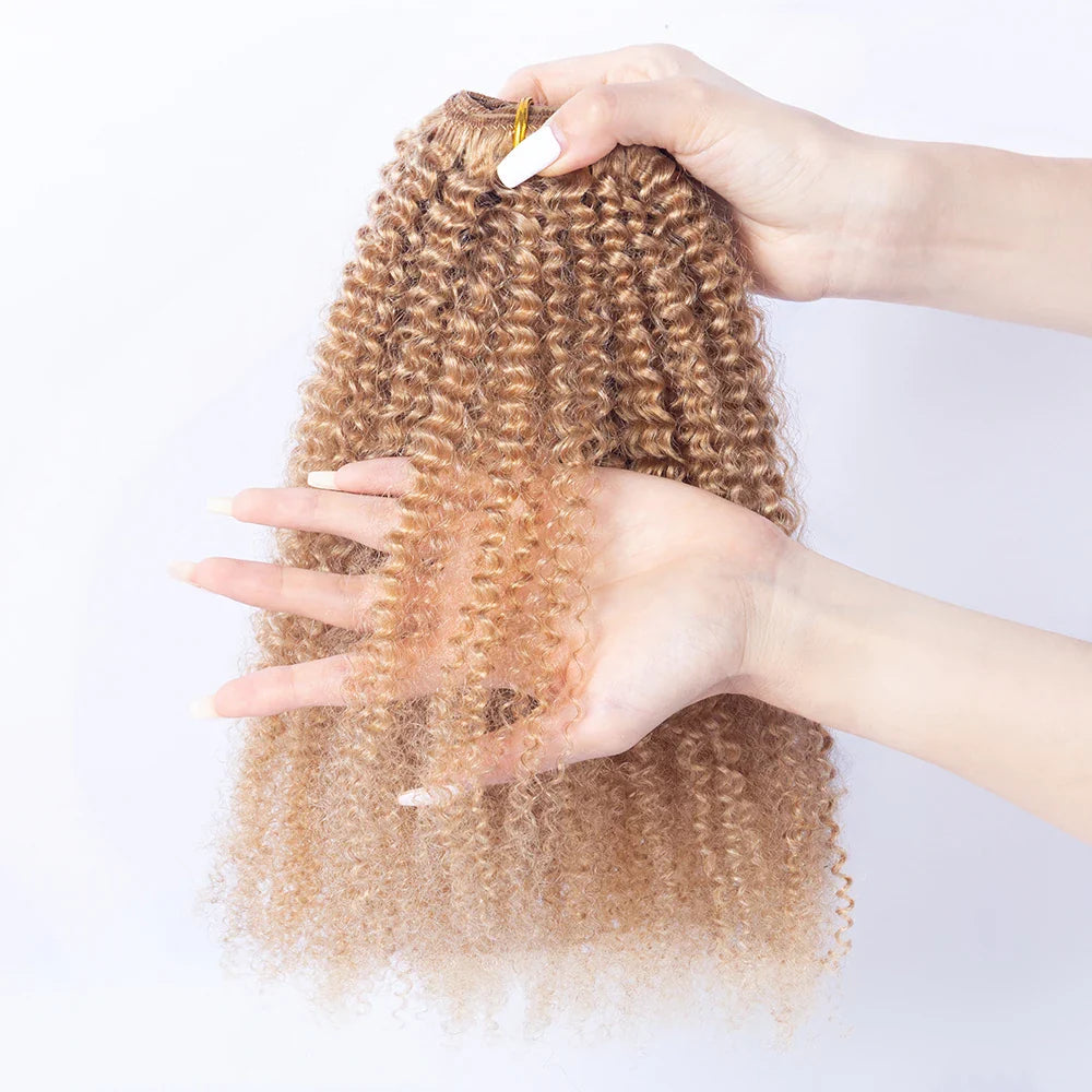 Hot Selling 100% Human Virgin Hair Brazilian Kinky Curly 4b4c Clip in Hair Extensions