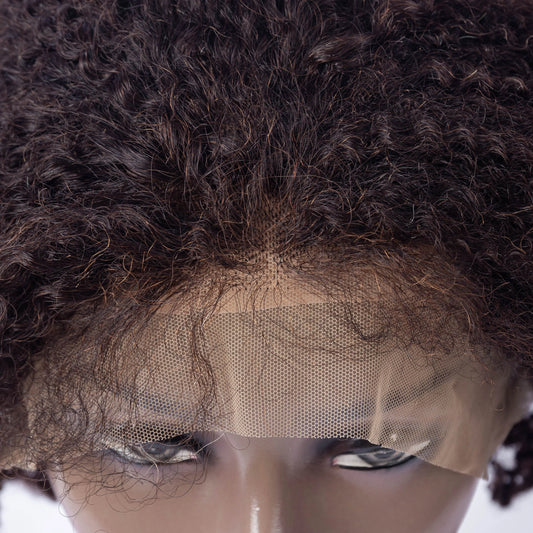 Wholesale Price Hot Selling 100% Unproecssed Human Hair in Stock Ready to Ship Human Hair Wig