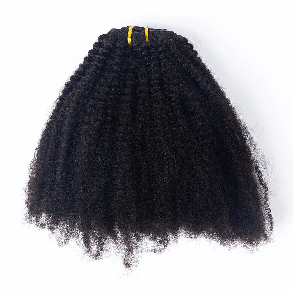 Hot Selling 100% Human Virgin Hair Brazilian Afro Kinky Curly 4b4c Clip in Hair Extensions