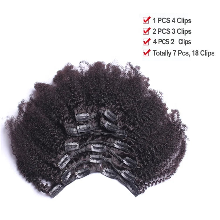 Hot Selling 100% Human Virgin Hair Brazilian Afro Kinky Curly 4b4c Clip in Hair Extensions