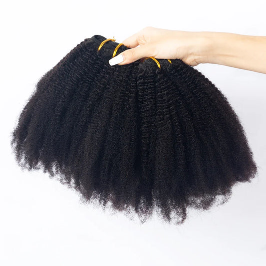 Hot Selling 100% Human Virgin Hair Brazilian Kinky Curly 4b4c Clip in Hair Extensions
