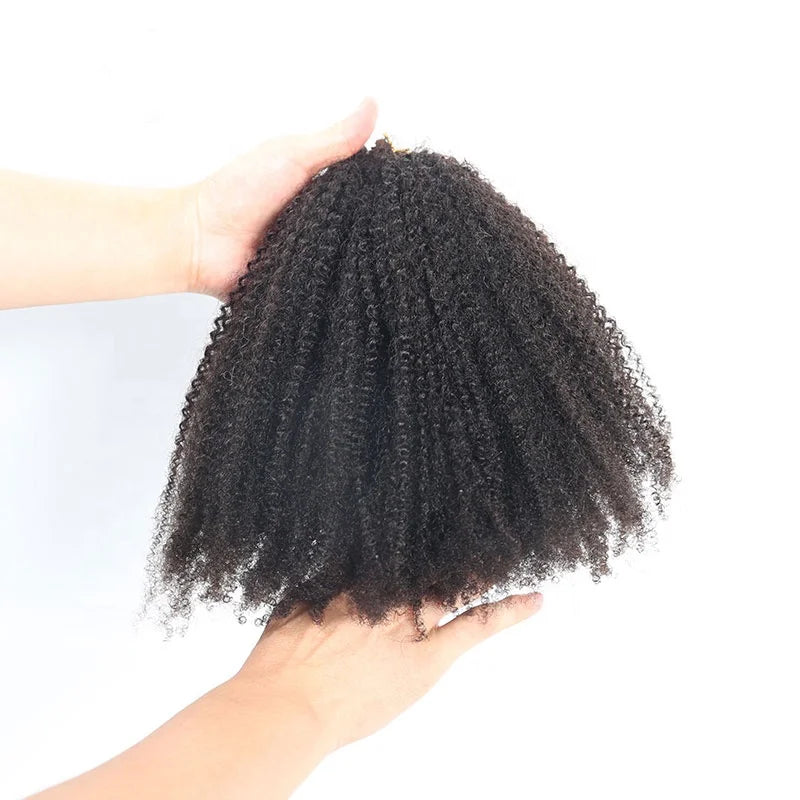 4B4C Afro Kinky Curly Coily Tape in Human Hair Extensions Black Women Mongolian Virgin Hair Tape Ins Microlink Hair