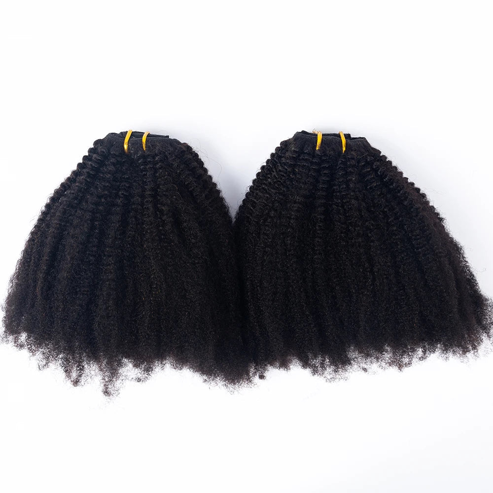Hot Selling 100% Human Virgin Hair Brazilian Afro Kinky Curly 4b4c Clip in Hair Extensions